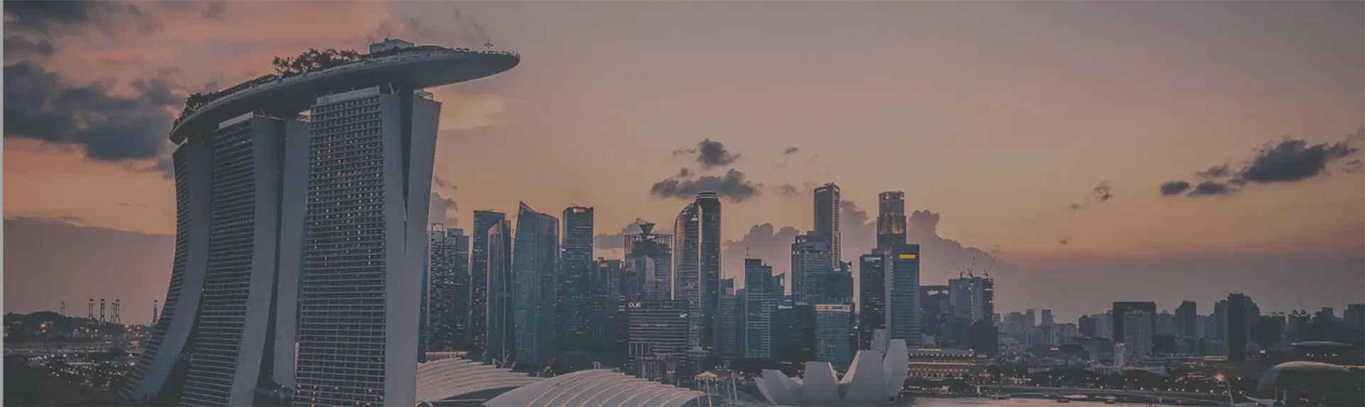 about The Singapore Story