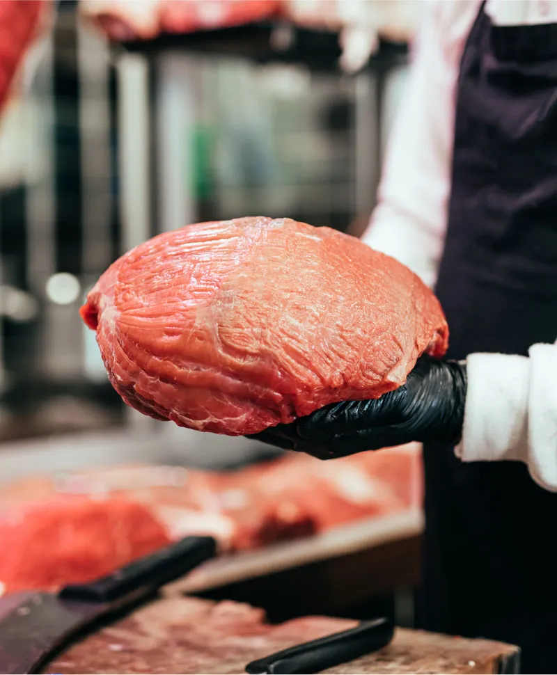 Indoguna Singapore partnership