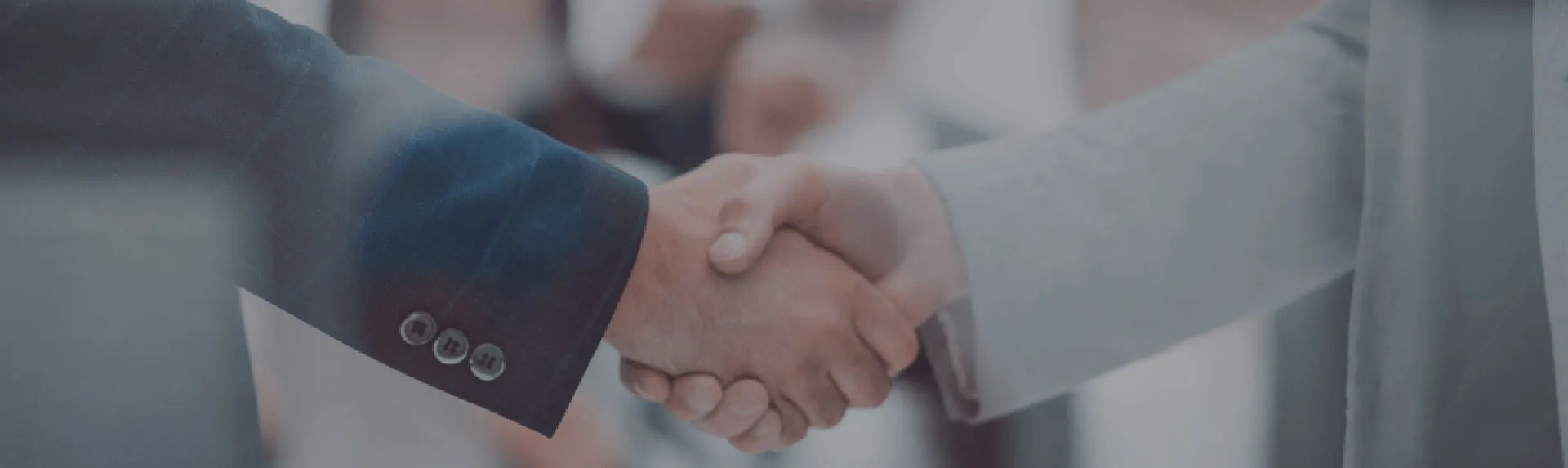 Indoguna Singapore partnership
